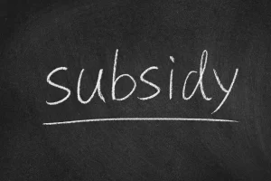 Palavra subsidy escrita em quadro negro representando debates sobre subsídios governamentais e gastos públicos em 2026