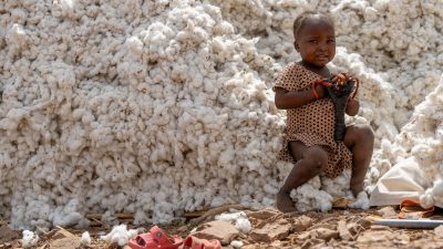 Uma criança sobre uma pilha de algodão recém-colhido em Poli, Camarões | Foto: Shutterstock