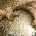 Programa A Força do Agro dia 17 de junho