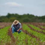 Programa A Força do Agro dia 18 de junho