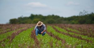 Programa A Força do Agro dia 18 de junho