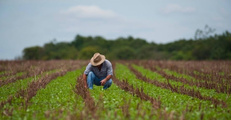 Recursos do pré-sal podem trazer alívio para os produtores rurais