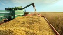 Programa A Força do Agro dia 3 de junho