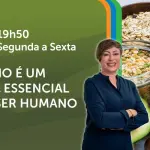 A Força do Agro é transmitido de segunda a sexta, das 19h50 às 20h30 | Foto: Divulgação/Oeste