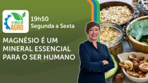 A Força do Agro é transmitido de segunda a sexta, das 19h50 às 20h30 | Foto: Divulgação/Oeste