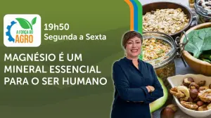 A Força do Agro é transmitido de segunda a sexta, das 19h50 às 20h30 | Foto: Divulgação/Oeste