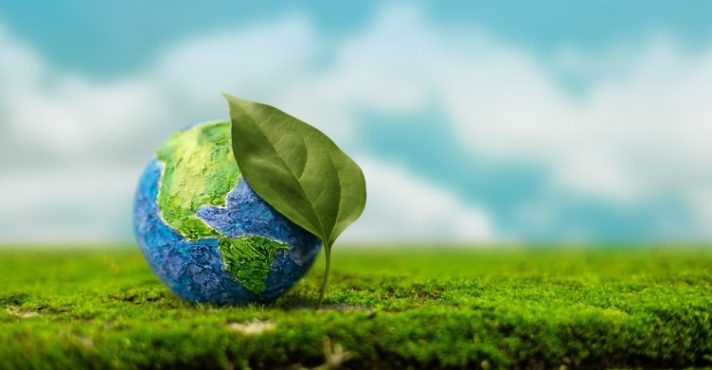 Programa A Força do Agro dia 4 de junho