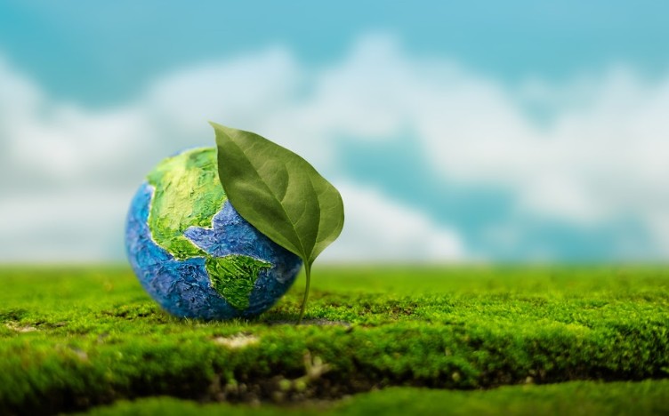 Programa A Força do Agro dia 4 de junho