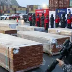 Chile apreende mais de 100 toneladas de drogas escondidas em madeira