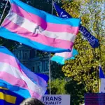 Bandeira do ativismo trans