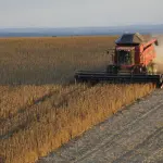 EL NiÑo agronegócio