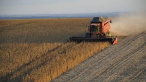 EL NiÑo agronegócio