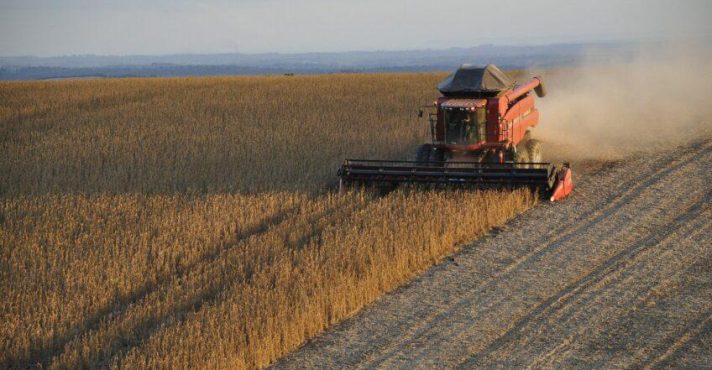 EL NiÑo agronegócio