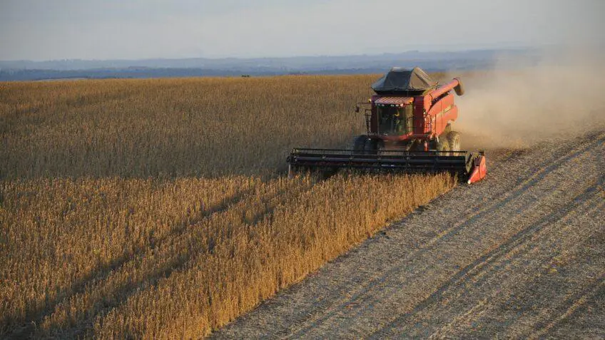 EL NiÑo agronegócio