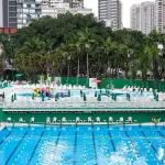 Palmeiras
