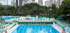 Palmeiras
