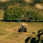 Vista traseira distante de um trator azul com capota branca avançando por uma estrada de terra sinuosa em um pasto inclinado, cercado por grandes árvores verdes e vegetação nativa sob a luz do sol.