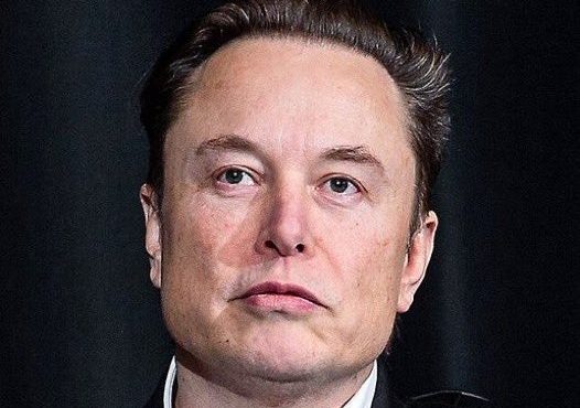 Elon Musk, controlador da SpaceX | Foto: Reprodução/X