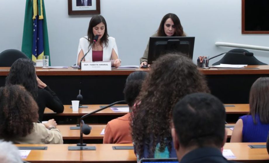 Instituto critica PL da Misoginia e alerta para risco à liberdade de expressão