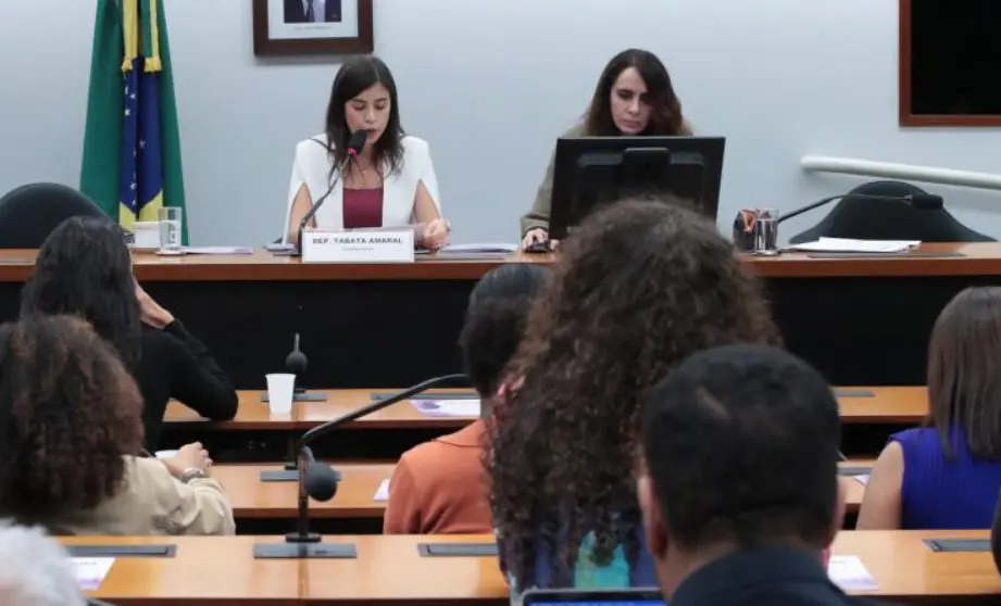 O texto foi elaborado sob a coordenação da deputada Tabata Amaral | Foto: Bruno Spada/Câmara dos Deputados