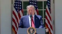 Donald Trump fundo Senado