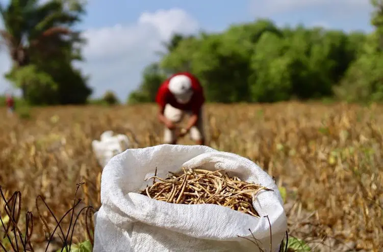 Programa A Força do Agro dia 23 de junho