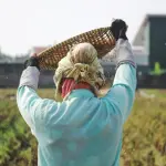 Programa A Força do Agro dia 29 de junho
