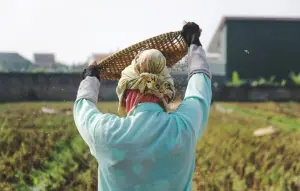 Programa A Força do Agro dia 29 de junho