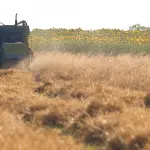 Programa A Força do Agro dia 30 de junho