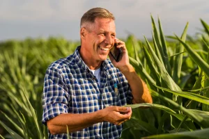 Produtor rural avalia plantas de milho e conversa ao telefone durante o acompanhamento do desenvolvimento da safra.