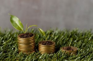 agro agronegócio pib dinheiro