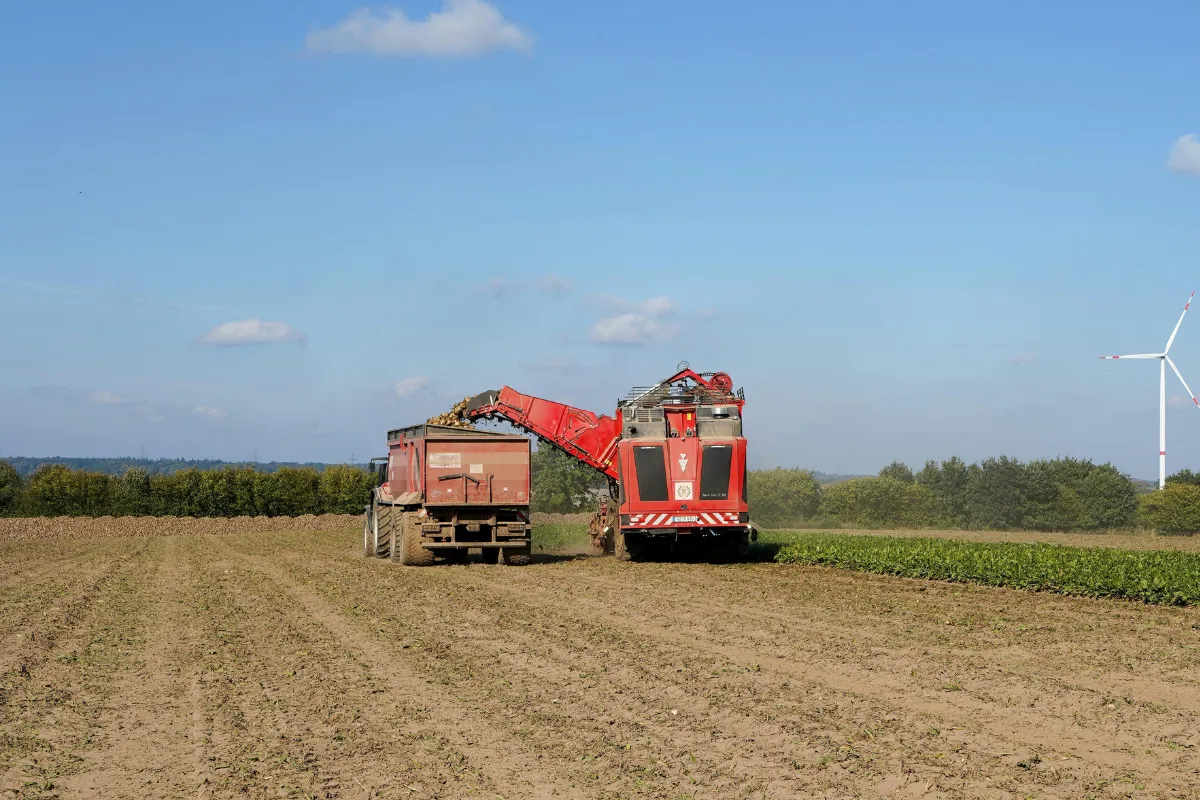 Equipamentos agrícolas transferindo colheita para caminhão em lavoura durante operação do agronegócio brasileiro.