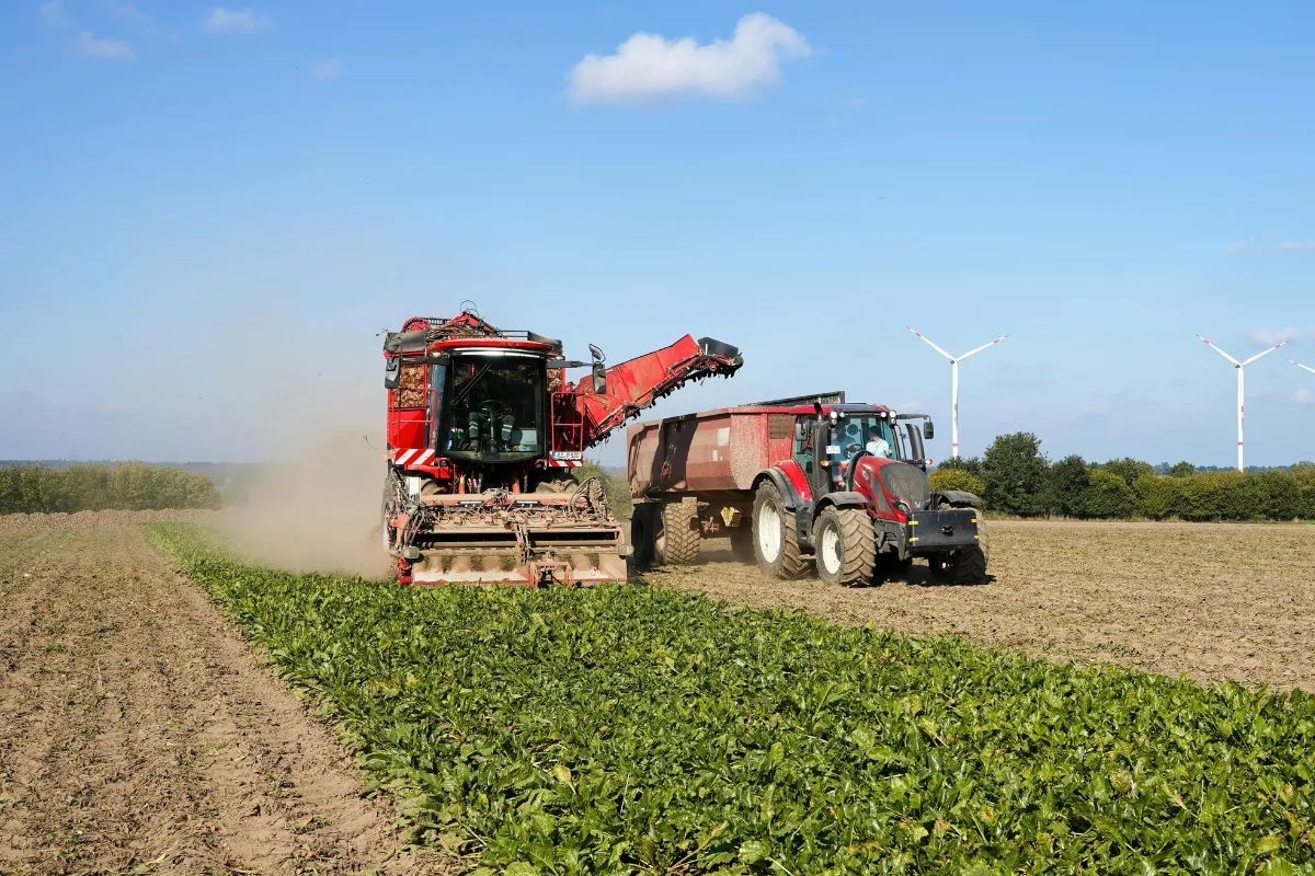 Máquinas agrícolas realizando colheita mecanizada em lavoura durante atividade do agronegócio no Brasil.