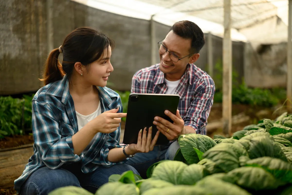 Produtores usando tablet em plantação para acompanhar dados e aplicar tecnologia no agronegócio no Brasil.