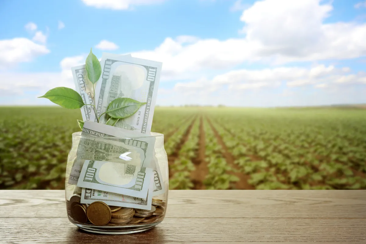 Frasco com dinheiro e folhas verdes em frente à lavoura simbolizando investimentos do agronegócio e impacto no PIB.