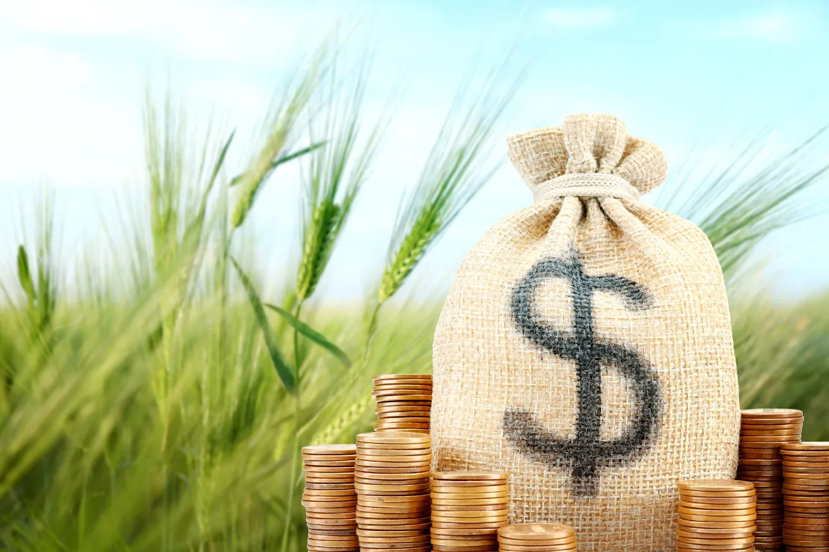 Como o agronegócio PIB impacta o emprego e a renda no Brasil