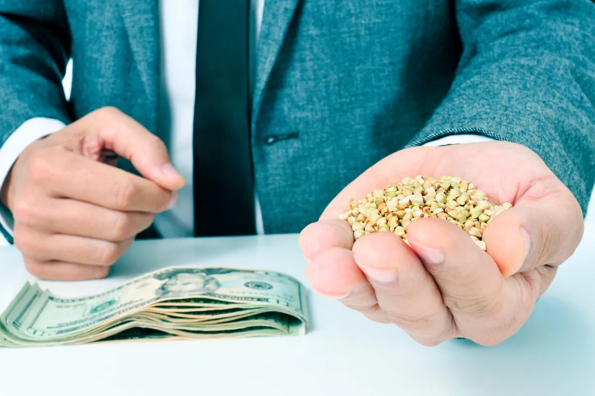 Pessoa segurando grãos com dinheiro sobre a mesa representando valor da produção agrícola e impacto econômico do agro.