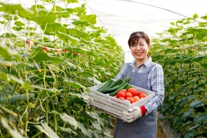 Produtora rural segurando caixa com legumes em estufa agrícola ligada ao abastecimento e preço dos alimentos.