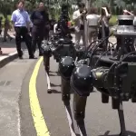 cão-robô-taiwan