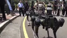 cão-robô-taiwan