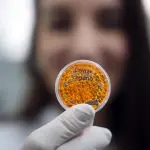 caviar-vegano-embrapa