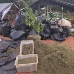 Polícia investiga falhas em operação anti-drogas no Ceará depois de vídeo de deputado