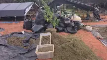 Polícia investiga falhas em operação anti-drogas no Ceará depois de vídeo de deputado