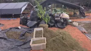Polícia investiga falhas em operação anti-drogas no Ceará depois de vídeo de deputado