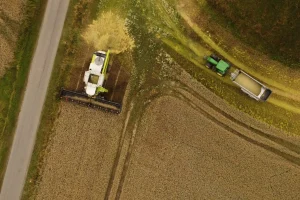 Vista aérea de colheitadeira e trator transportando grãos durante a colheita em uma área agrícola.