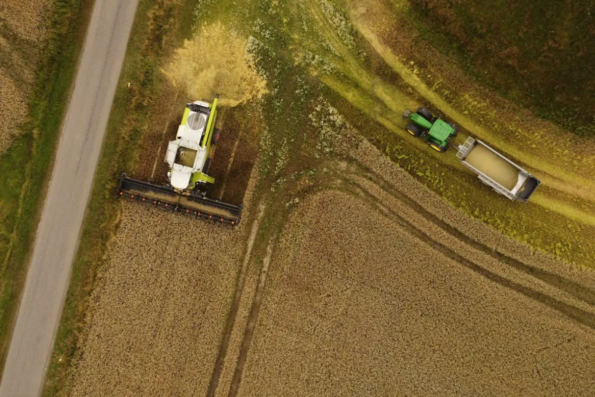 Vista aérea de colheitadeira e trator transportando grãos durante a colheita em uma área agrícola.