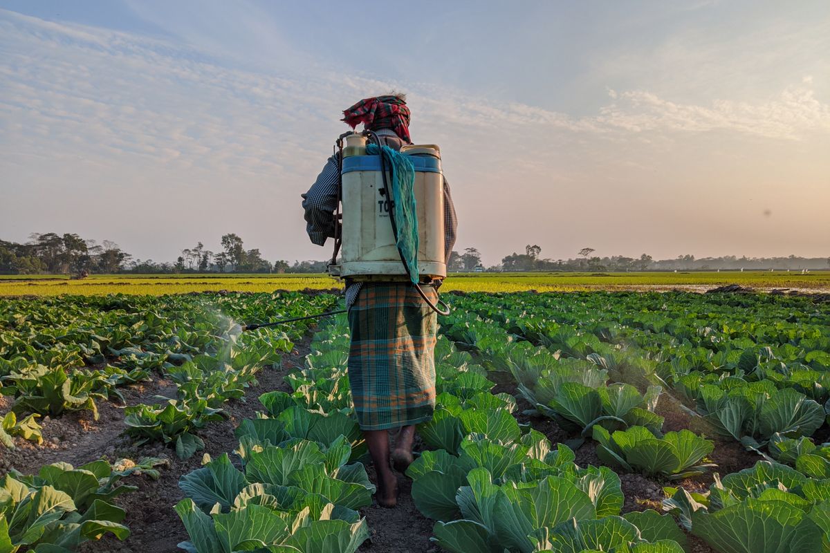 Como fertilizantes afetam o custo do agronegócio brasileiro
