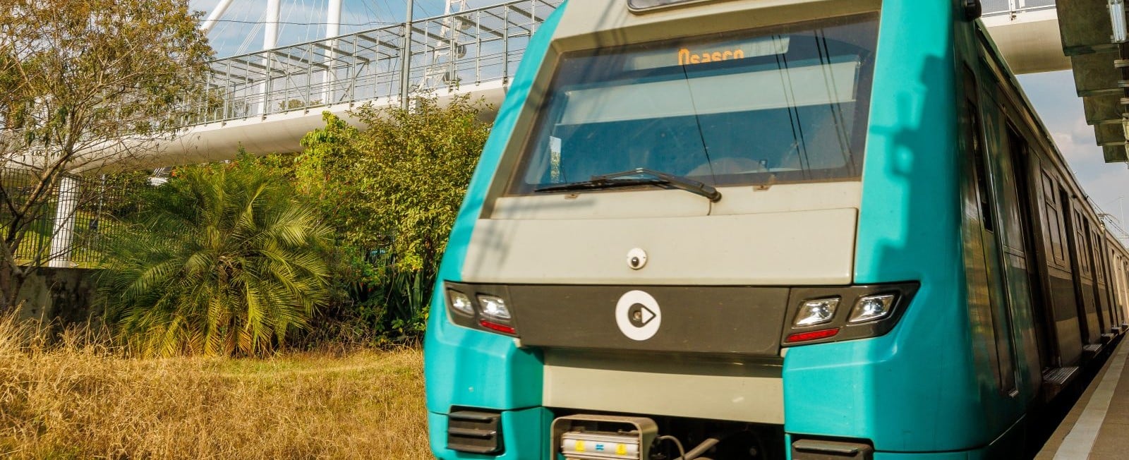 foto-linha-esmeralda-linha-9