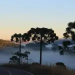Frio intenso e risco de geada, prevê meteorologia | Foto: Divulgação/Prefeitura de Urupema