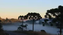 Frio intenso e risco de geada, prevê meteorologia | Foto: Divulgação/Prefeitura de Urupema